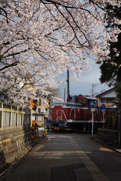 桜と踏切とDE10