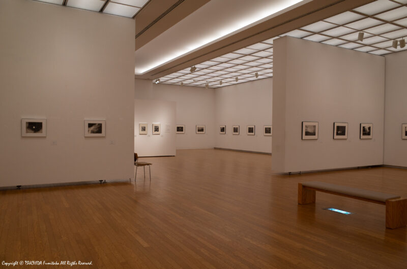 砺波市美術館コレクション展の様子