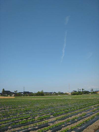 a contrail in the blue sky