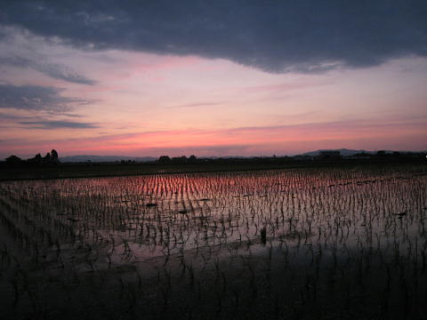 夕映え