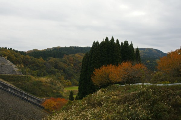 子撫川ダムから見た紅葉