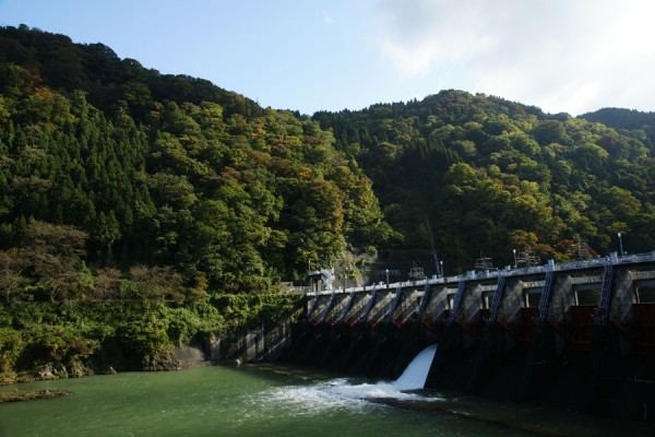 庄川合口ダムの紅葉