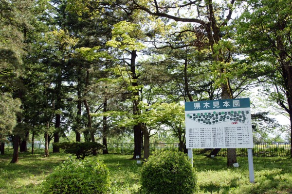 富山市営農サポートセンターの県木見本園