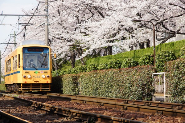 都電で最も熱いのが旧塗装になった7022