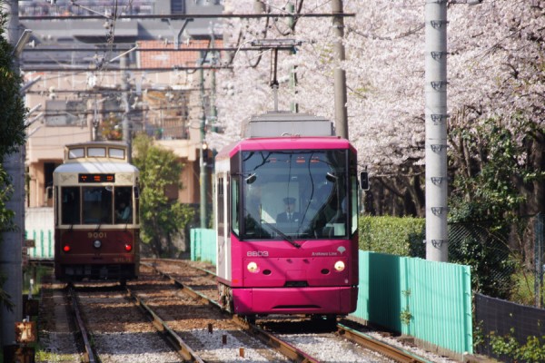 行き交う個性的な路面電車