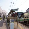 都電荒川線と桜 荒川二丁目駅