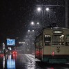 雪の夜の富山大橋