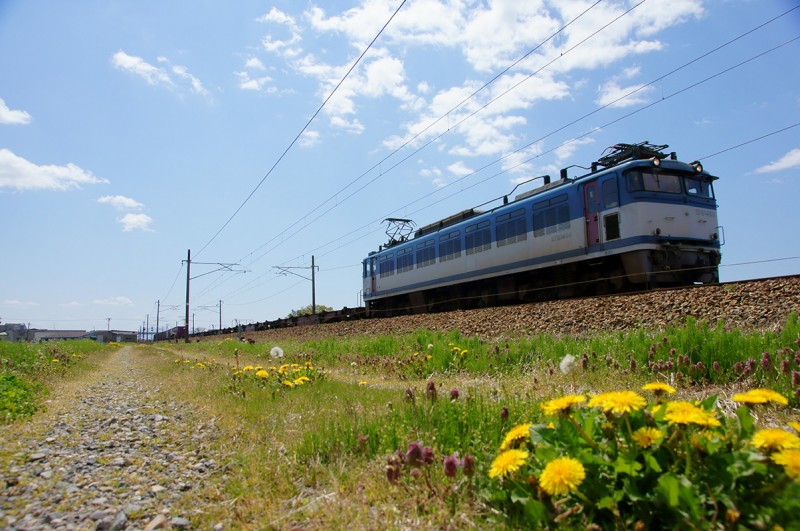 2013-04-28 北陸本線西高岡-高岡 Sony α55 + Vario Sonnar T* DT16-80mm/F3.5-4.5ZA RAW現像 