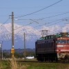 EF81 627 立山バックに